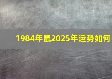 1984年鼠2025年运势如何