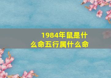 1984年鼠是什么命五行属什么命