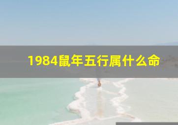 1984鼠年五行属什么命