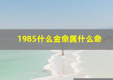 1985什么金命属什么命