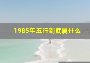 1985年五行到底属什么