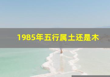 1985年五行属土还是木