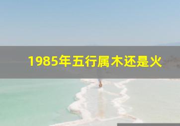 1985年五行属木还是火