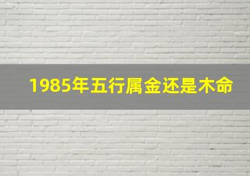 1985年五行属金还是木命