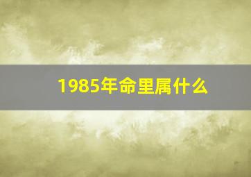 1985年命里属什么