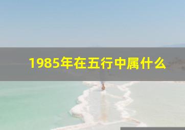 1985年在五行中属什么