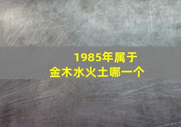 1985年属于金木水火土哪一个