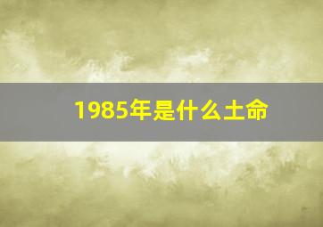 1985年是什么土命