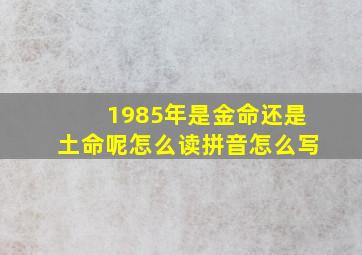 1985年是金命还是土命呢怎么读拼音怎么写