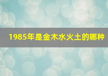 1985年是金木水火土的哪种