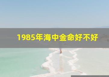 1985年海中金命好不好