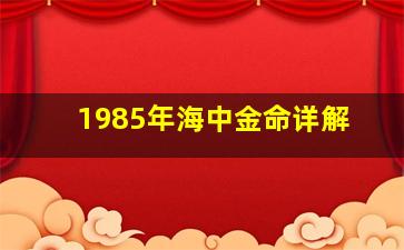 1985年海中金命详解