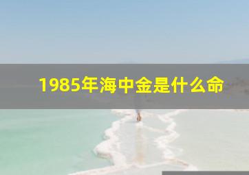 1985年海中金是什么命