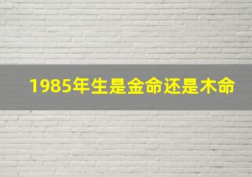 1985年生是金命还是木命