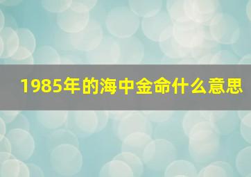 1985年的海中金命什么意思