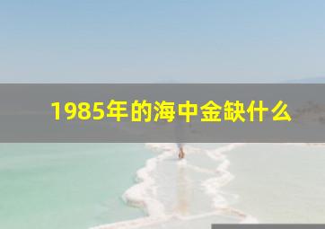 1985年的海中金缺什么