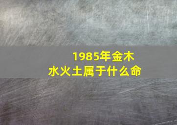 1985年金木水火土属于什么命