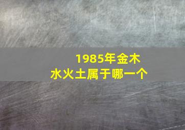 1985年金木水火土属于哪一个