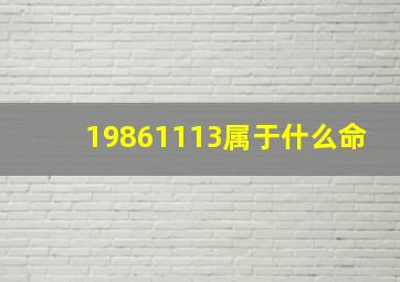 19861113属于什么命