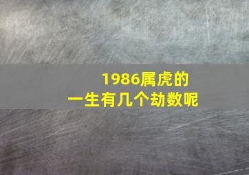 1986属虎的一生有几个劫数呢