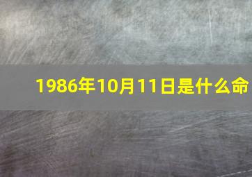 1986年10月11日是什么命