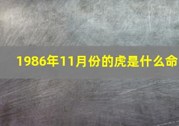 1986年11月份的虎是什么命