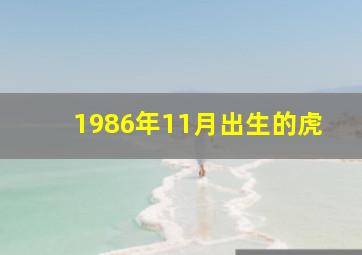 1986年11月出生的虎