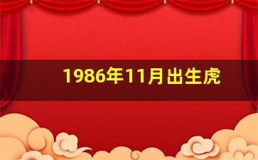 1986年11月出生虎