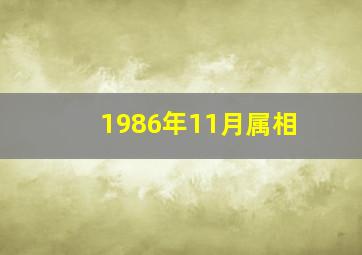 1986年11月属相