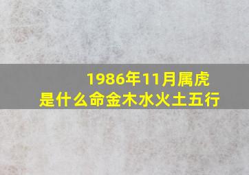 1986年11月属虎是什么命金木水火土五行