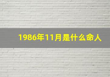 1986年11月是什么命人