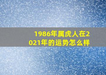 1986年属虎人在2021年的运势怎么样