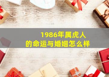 1986年属虎人的命运与婚姻怎么样