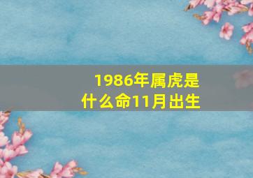 1986年属虎是什么命11月出生