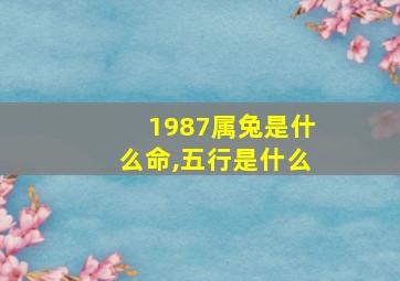 1987属兔是什么命,五行是什么