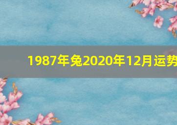 1987年兔2020年12月运势