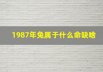 1987年兔属于什么命缺啥