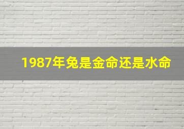 1987年兔是金命还是水命