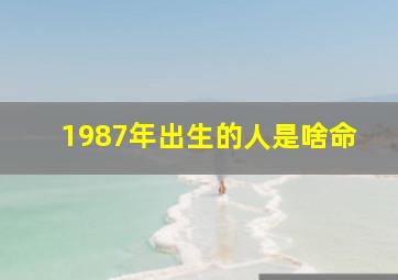 1987年出生的人是啥命