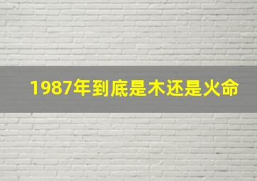 1987年到底是木还是火命