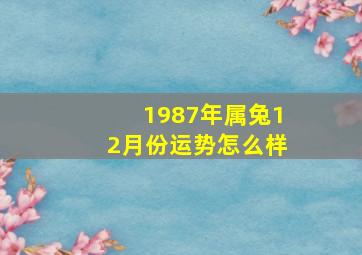 1987年属兔12月份运势怎么样