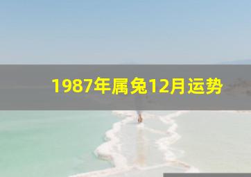 1987年属兔12月运势