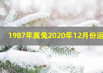 1987年属兔2020年12月份运势