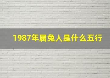 1987年属兔人是什么五行