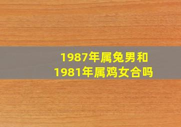 1987年属兔男和1981年属鸡女合吗