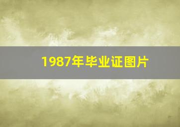 1987年毕业证图片