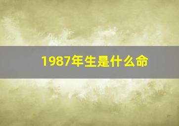 1987年生是什么命