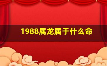 1988属龙属于什么命