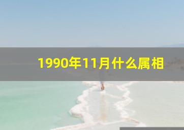 1990年11月什么属相