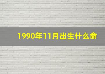 1990年11月出生什么命